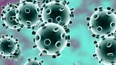 Maharashtra Corona Update : राज्यात आज 4877 कोरोना बाधित रुग्णांची नोंद, तर 11,077 रुग्ण कोरोनामुक्त