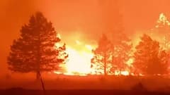 America: Visuals of fire in the forest will shock you; helicopters come to the rescue