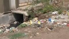 મારૂ શહેર મારી વાત: જામનગરના રાજમોતી વિસ્તારમાં સફાઈની સમસ્યા