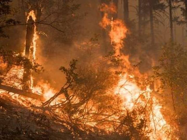 Bootleg fire took its formidable form in Oregon three lakh acres of land burns US Fire: अमेरिका के ओरेगन में आग ने लिया विकराल रूप, चपेट में आई तीन लाख एकड़ जमीन