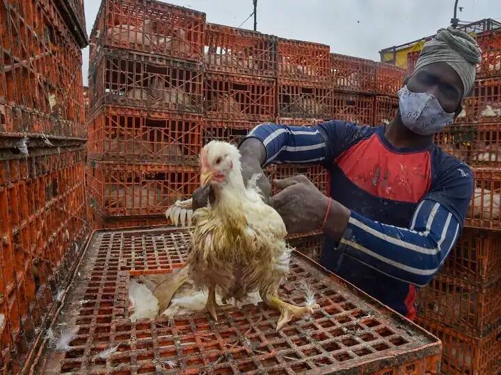 Delhi AIIMS Reports First Bird Flue Death 2021 Haryana Boy 11 H5N1 contact tracing inspection Bird Flu Death: বার্ড ফ্লুতে ১১ বছরের শিশুর মৃত্যুতে উদ্বেগ; দেখুন-কী এই ভাইরাস, উপসর্গ ও সতর্কতা