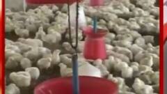 સમાચાર શતક: દેશમાં કોરોના વચ્ચે દિલ્લીમાં થયુ બર્ડ ફ્લૂથી થયું પ્રથમ મોત, જુઓ મહત્વના સમાચાર