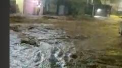 Nashik Rain | त्र्यंबकेश्वर मंदिराजवळील रस्त्यावर पाणी, इगतपुरी तालुक्याला पावसानं झोडपलं