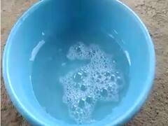 भाजीपाला दोन मिनिटांत फ्रेश? सोशल मीडियावर व्हायरल होणाऱ्या व्हिडीओचं सत्य काय आहे?