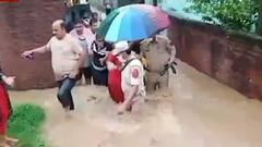 जम्मू: उधमपुर में बाढ़ के हालात का जायजा लेने पानी में उतरीं DM