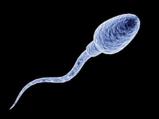 ਕੋਵਿਡ-19 ਨਾਲ ਘੱਟ ਜਾਂਦਾ ਮਰਦਾਂ ਦਾ Sperm Count!