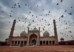 Bakri Eid 2021: দেশজুড়ে পালিত বকরি ইদ, করোনা কোপে জৌলুসহীন উৎসব