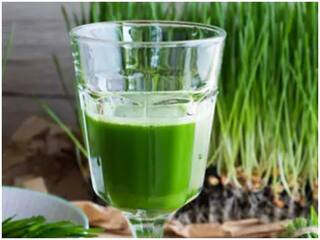 Blood Sugar Control: Wheatgrass Juice Helps Control Diabetes, Increases Blood Platelets In Dengue