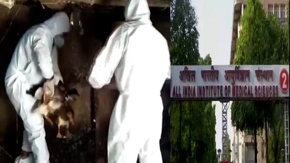 Bird Flu Death : बर्ड फ्ल्यूमुळे देशात पहिला मृत्यू