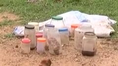 પાટણઃ તાવડિયા પાસે રઝળતી હાલતમાં મળી આવ્યા ભ્રુણ, આરોગ્ય વિભાગ ઘટનાથી અજાણ