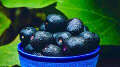 Jamun Fruit Benefits: ਭਾਰ ਕੰਟ੍ਰੋਲ ਕਰਨ ਅਤੇ ਪ੍ਰਤੀਰੋਧਕ ਸ਼ਕਤੀ ਵਧਾਉਣ ਵਿਚ ਮਦਦਗਾਰ ਹੈ ਜਾਮਣਾਂ, ਗਿਣ ਲਿਓ ਫਾਈਦੇ