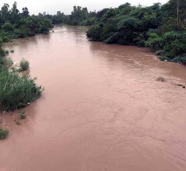 Flood risks again in Ghaggar after water level on peak ਹੁਣ ਹੜ੍ਹਾਂ ਦਾ ਖਤਰਾ, ਘੱਗਰ 'ਚ ਫ਼ਿਰ ਚੜ੍ਹਿਆ ਪਾਣੀ, ਕਿਸਾਨਾਂ ਦੇ ਸਾਹ ਸੂਤੇ