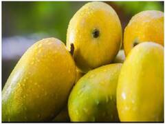 National Mango Day 2021: जानिए इतिहास, रोचक तथ्य और आखिर कैसे मनाते हैं मैंगो डे