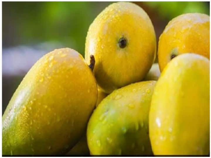 National Mango Day 2021: History, Interesting Facts And Tips To Celebrate With Favourite Summer Fruit National Mango Day 2021: History, Interesting Facts And Tips To Celebrate With Favourite Summer Fruit