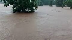 Chiplun Flood Update : चिपळूणमध्ये पुराच्या पाण्यात रहिवाशांची कोंडी, फरशी तिठा परिसरात पुराचं पाणी