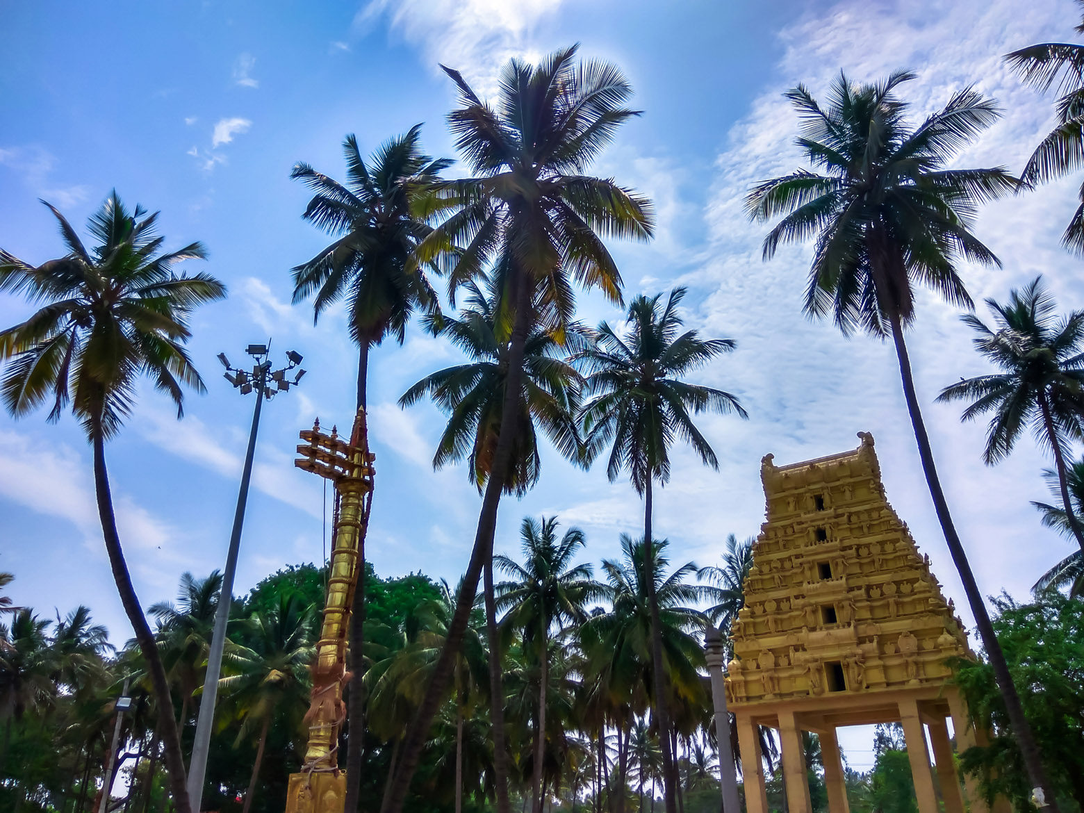 Coconut Offering to God: గుడికి కొబ్బరికాయ, అరటిపండ్లు మాత్రమే ఎందుకు తీసుకెళతారు?