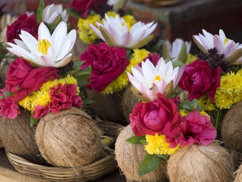 Coconut Offering to God: గుడికి కొబ్బరికాయ, అరటిపండ్లు మాత్రమే ఎందుకు తీసుకెళతారు?