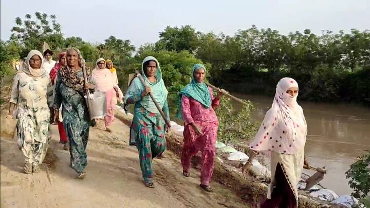 ਕਿਸਾਨਾਂ ਦਾ ਕਹਿਣਾ ਹੈ ਕਿ ਪਹਿਲਾਂ ਪ੍ਰਸ਼ਾਸਨ ਸੋ ਰਿਹਾ ਸੀ ਹੁਣ ਘੱਗਰ ਵਿੱਚ ਪਾਣੀ ਆ ਗਿਆ ਤੇ ਪ੍ਰਸ਼ਾਸਨ ਵੀ ਆ ਗਿਆ। ਸਾਨੂੰ ਘੱਗਰ ਨਦੀ ਵਿੱਚ ਤੇਜ਼ੀ ਦੇ ਨਾਲ ਵੱਧ ਰਹੇ ਪਾਣੀ ਦਾ ਸਤਰ ਡਰਾ ਰਿਹਾ ਹੈ ਅਸੀਂ ਰਾਤ ਦੇ ਸਮੇਂ ਪਹਿਰਾ ਦੇਵਾਂਗੇ ਕਿਉਂਕਿ ਜੇਕਰ ਦਰਾਰ ਆ ਗਈ ਤਾਂ ਸਾਡੀਆਂ ਫਸਲਾਂ ਬਰਬਾਦ ਹੋ ਜਾਣਗੀਆਂ।