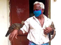 காட்டில் கிடைத்த முட்டை... அடை காத்த கோழி... வளர்ந்ததும் மயில் ஆனது! பிரிய மனமின்றி ஒப்படைத்த விவசாயி!