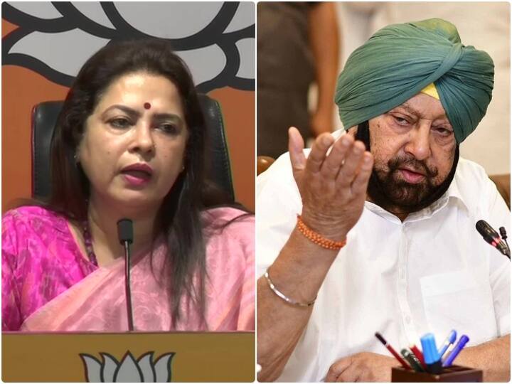 On Hooligans Comment Of Meenakshi Lekhi On Protesting farmers Punjab CM says she should resign from post ਮੀਨਾਕਸ਼ੀ ਲੇਖੀ ਵਲੋਂ ਕਿਸਾਨਾਂ ਨੂੰ ਮਵਾਲੀ ਕਹਿਣ 'ਤੇ ਭੜਕੇ ਕੈਪਟਨ ਅਮਰਿੰਦਰ, ਮੰਤਰੀ ਦੇ ਅਹੁਦੇ ਤੋਂ ਮੰਗਿਆ ਅਸਤੀਫਾ 