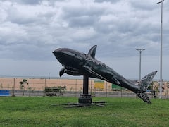 Marina Beach: роорпЖро░ро┐ройро╛ роХроЯро▒рпНроХро░рпИропрпИ роЕро▓роЩрпНроХро░ро┐роХрпНроХрпБроорпН роЙро▓рпЛроХ роХро┤ро┐ро╡рпБроЪрпН роЪро┐ро▓рпИроХро│рпН!