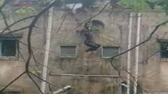 મહારાષ્ટ્રમાં પૂરના પાણીમાં તણાઇ રહેલી યુવતીને બચાવવા કરાયુ દિલધડક રેસ્ક્યૂ, અંતે યુવતીનો હાથ છૂટ્યો...