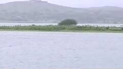 Nashik Rains : नाशिकमध्ये चार दिवस झालेल्या पावसाने पाणीपातळीत वाढ