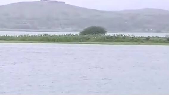 Nashik Rains : नाशिकमध्ये चार दिवस झालेल्या पावसाने पाणीपातळीत वाढ