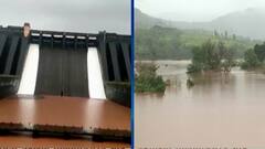 Satara Rain : कोयना धरणातून तब्बल 50 हजार क्युसेकनं विसर्ग सुरु, कराड शहराला पुराचा धोका