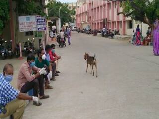 காஞ்சிபுரம்: 40 பேருக்கு கொரோனா தொற்று;உயிரிழப்பு இல்லை!