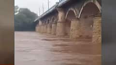 Maharashtra Rain : कोल्हापूर, सांगलीला पावसानं झोडपलं, नदीकाठच्या गावांना सतर्कतेचा इशारा