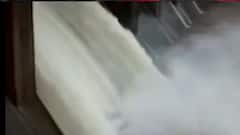 અમરેલીઃ ચોમાસાની શરૂઆતમાં જ 50 ટકા જળાશય થયા છલોછલ, ખેડૂતોમાં ખુશીનો માહોલ