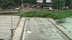 Pune Rain : मुसळधार पावसामुळं पुण्याच्या भिडे पुलावर जलपर्णीचा ढीग, पुणेकरांसाठी रस्ता बंद