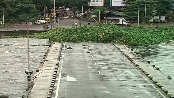 Pune Rain : मुसळधार पावसामुळं पुण्याच्या भिडे पुलावर जलपर्णीचा ढीग, पुणेकरांसाठी रस्ता बंद