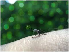 केरल: जीका वायरस के 3 और मामले सामने आए, संक्रमितों की संख्या हुई 44, जानिए लक्षण और बचने के उपाय