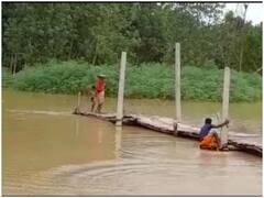 बारिश के कारण उफान पर नदियां, जान जोखिम में डालकर लकड़ी के पुल के सहारे नदी पार कर रहे हैं किसान