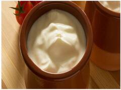 क्या दही वजन कम करने में आपकी मदद कर सकता है? जानिए इसकी सच्चाई