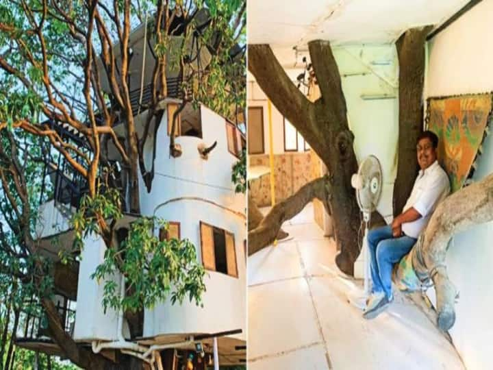 Udaipur’s Latest Tourist Attraction: A Four-Storey House Built On A 40 Feet High Mango Tree Udaipur’s Latest Tourist Attraction: இது வேற லெவல்.. மாமரத்தில் கட்டப்பட்ட அடுக்குமாடி குடியிருப்பு!