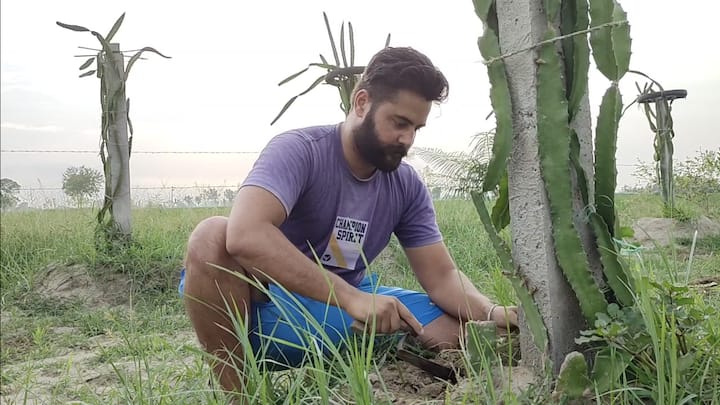 ਇਸਦੇ ਬਾਰੇ ਵਿੱਚ ਉਹ ਆਨਲਾਇਨ ਵੀ ਪਤਾ ਕਰ ਰਿਹਾ ਹੈ।ਬੈਂਕ ਦੀ ਡਿਊਟੀ ਤੋਂ ਬਾਅਦ ਘਰ ਆ ਕੇ ਸੁਖਜਿੰਦਰ ਸਿੱਧਾ ਆਪਣੇ ਖੇਤ ਜਾਂਦਾ ਹੈ ਅਤੇ ਆਪਣੀ ਡਰੈਗਨ ਫਰੂਟ ਦੀ ਖੇਤੀ ਦੀ ਸੰਭਾਲ ਕਰਦਾ ਹੈ।