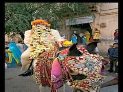மணமகனுடன் ஓட்டம் பிடித்த குதிரை... 4 கி.மீ., தூரம் விரட்டி மீட்ட உறவினர்கள்...!