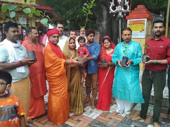 Unique initiative of Mankameshwar temple devotees will get saplings as prasadn in Sawan prayagraj uttar pradesh ann प्रयागराज: मनकामेश्वर मंदिर की अनोखी पहल, सावन पर श्रद्धालुओं को प्रसाद में मिलेंगे पौधे
