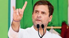 क्या UP का 'आम' बिगाड़ देगा Congress का सियासी 'स्वाद' ? | Rahul Gandhi UP Aam Viral Video