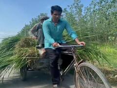 Sonu Sood Video: दूधवाले को पीछे बैठाकर सोनू सूद ने चलाई रिक्शा, दूध के लिए मांगा डिस्काउंट तो कर दिया मना