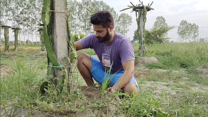 ਸਾਰਿਆਂ ਲਈ ਵਿਦੇਸ਼ ਜ਼ਰੂਰੀ ਨਹੀਂ ਅਸੀਂ ਖੇਤੀ ਵਿੱਚ ਵੀ ਮਿਹਨਤ ਕਰ ਕੇ ਇਸ ਨੂੰ ਨਵੀਂ ਦਿਸ਼ਾ ਦੇ ਸੱਕਦੇ ਹਾਂ।