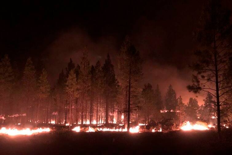 Terrible bootleg forest fires spread over 400,000 acres 400,000 ਏਕੜ 'ਚ ਫੈਲੀ ਭਿਆਨਕ ਜੰਗਲੀ ਅੱਗ, 70 ਦੇ ਕਰੀਬ ਘਰ ਸੜ੍ਹਕੇ ਸੁਆਹ