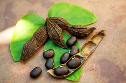 Health Benefits: ਇਸ ਫਲ ਦੇ ਬੀਜ ਬਹੁਤ ਗੁਣਕਾਰੀ, ਇੰਝ ਲੈ ਸਕਦੇ ਹੋ ਫ਼ਾਇਦਾ