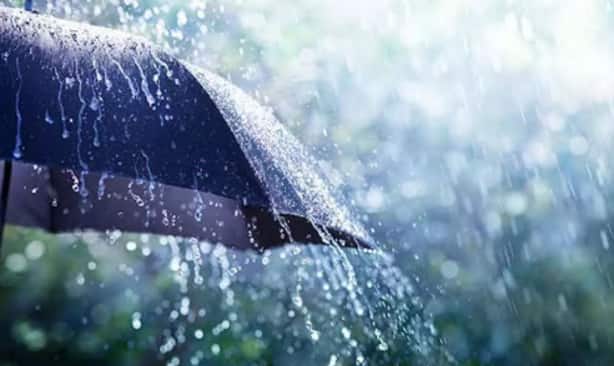 Rain Alert in Telangana for coming Three days WEATHER REPORT: అలర్ట్.. అలర్ట్.. మరో మూడు రోజులు వర్షాలు