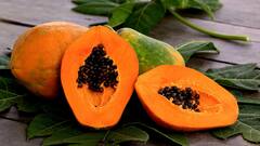 Foods to Prevent Acne: ব্রণর সমস্যায় জেরবার? এই ১০ টি খাবারে নিমেষেই মিটবে ত্বকের যাবতীয় সমস্যা