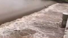 રાજકોટ:ધોધમાર વરસાદ વરસતા ખેડૂતોમાં ખુશી, નદીઓ બંને કાંઠે વહેતી થઈ