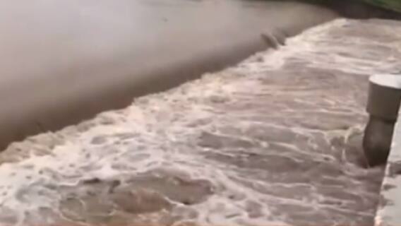 રાજકોટ:ધોધમાર વરસાદ વરસતા ખેડૂતોમાં ખુશી, નદીઓ બંને કાંઠે વહેતી થઈ